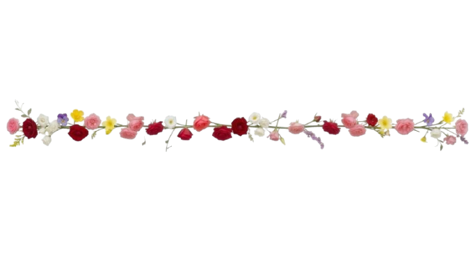 Separador